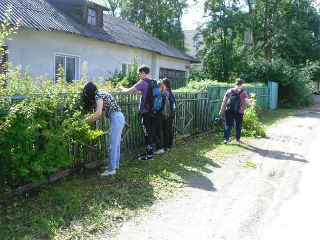 Волонтерская помощь