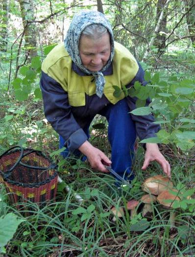 Занятие в рамках функционирования «Школы безопасности»