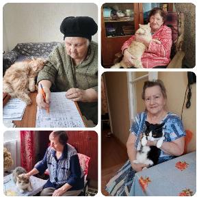 День кошек