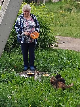 Акция "Покорми бездомных кошек"