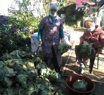 "Капустник"