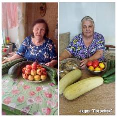 Акция "Погребок ", которая направлена на поддержку получателей социальных услуг на дому