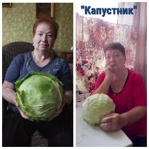 Акция под названием "Капустник"