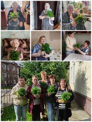 «Букет здоровья»