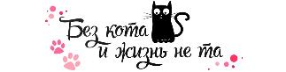 Межмуниципальное мероприятие "Без кота и жизнь не та"
