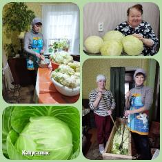  Акция «Капустник» г.Комсомольск