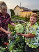 Специалист в деле (Елена Столярик)