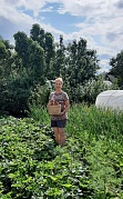  «Огородные заботы»      