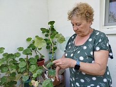   "Спешите делать добро"