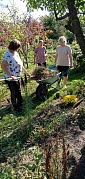 Акция «Чистый двор»
