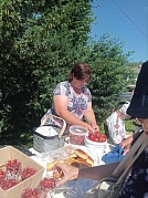 «Подозерская клубника»